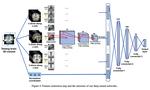 3D-Brain Segmentation Using Deep Neural Network and Gaussian Mixture Model